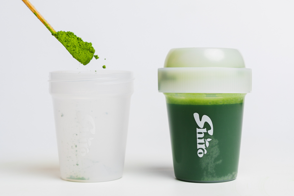 Matcha Shaker Gift