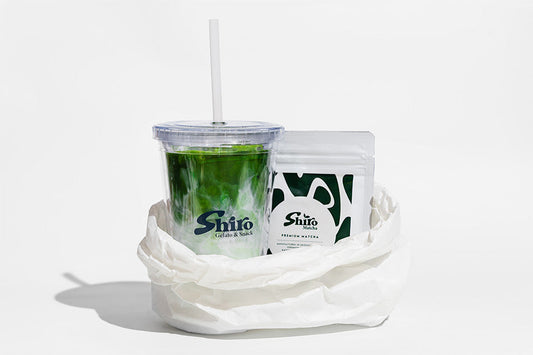 Behind the Blend: How the Shiro Team Deepens Their Passion for Matcha