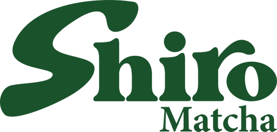 Shiro-Matcha