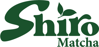 Shiro-Matcha