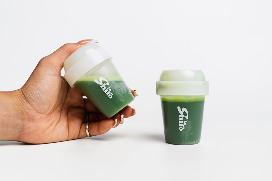 Shiro Matcha Shaker